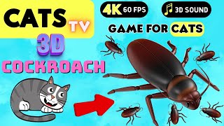 GAME FOR CATS  Real BIG Cockroach CATS TV 3 HOURS [upl. by Hasen]