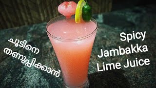 നല്ല എരിവുള്ള ചാമ്പക്ക ജ്യൂസ് Spicy Jambakka Lime Juice Nishana Special [upl. by Annaoy]