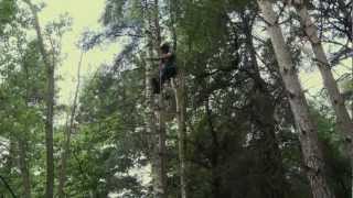 Kingswood Training  Overview of our Tree Surgery Training amp Chainsaw Courses [upl. by Race]