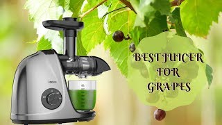 Best Juicer for Grapes of 2021  Make Fresh Juice Quickly [upl. by Inirt]