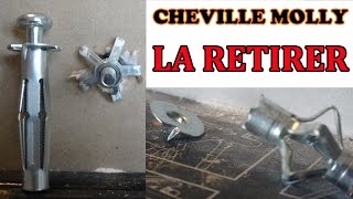 retirer une cheville molly proprement how to remove hollow wall anchors properly [upl. by Reggie]