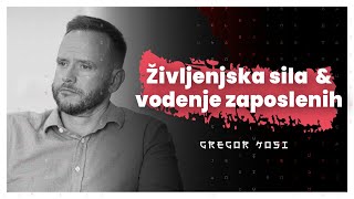 Življenjska sila ljubezen in vodenje zaposlenih Gregor Kosi — AIDEA Podkast 117 [upl. by Jehu]