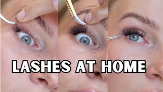 how to apply lash clusters for beginners  tips [upl. by Lisab]