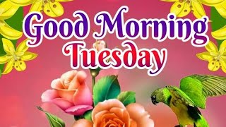 Tuesday good morning flowers images amp best good morning flowers picture images [upl. by Nita625]