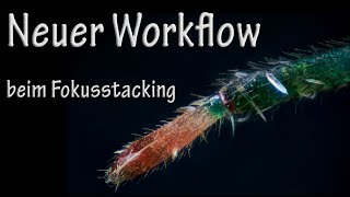 Neuer Workflow beim Fokusstacking [upl. by Isaak]