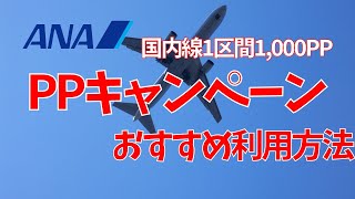 ANA修行 羽田✈︎那覇✈︎高松✈︎羽田 【ダイヤモンド防衛修行⑧】 [upl. by Anialram862]