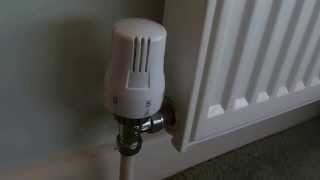 How to fix a thermostatic radiator valve if your radiator is not heating up [upl. by Hoxie]