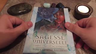 Revue de loracle quotSagesse Universellequot de Toni Carmine Salerno [upl. by Eirret]