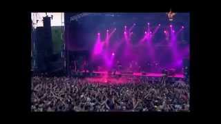 The Offspring  Want You Bad Live Best Performance HD [upl. by Ennazor]