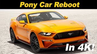 2018  2019 Ford Mustang Ecoboost Review in 4K [upl. by Scurlock]