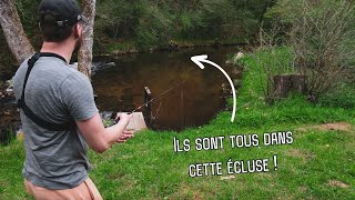 ON TOMBE SUR UN LÂCHER DE POISSONS DANS UNE ÉCLUSE [upl. by Eyar]