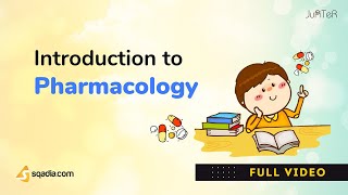 Introduction to Pharmacology  Pharmacokinetics and Pharmacodynamics Basics [upl. by Kuth]