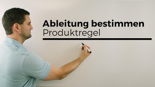 Produktregel zum Ableiten von Funktionen  Mathe by Daniel Jung [upl. by Zelten]