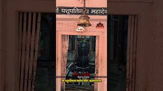 watch famous Shri Pashupatinath mahadev mandir jhalrapatan  Har Har Mahadev viral short mahadev [upl. by Nedyah]