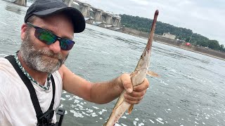 Earlier in the summer Fishing Racine locks and dam [upl. by Cohby]