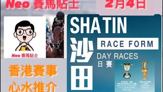 【賽馬貼士】 2024年2月4日 香港賽事 心水推介 沙田馬場 Shatin Racecourse Hong Kong Horse Racing [upl. by Donnelly]