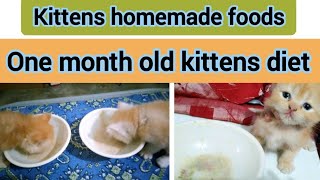 MY CUTE PERSIAN KITTEN  Homemade Food Series [upl. by Maurey]