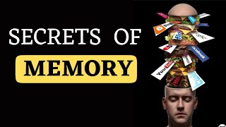 The Mysteries of Memory  How do we Remember and Forget  Atkinson and Shiffrin Memory Model [upl. by Chiang]