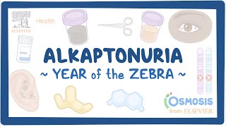 Alkaptonuria Year of the Zebra [upl. by Ronen]