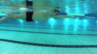 Find Your Catch Slow Down to Swim Faster and More Efficiently [upl. by Maynard]