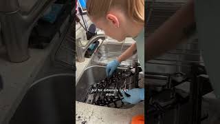 How The Heck Do You Clean gas stove grates🫧🧽 cleantok cleaningtips cleaningservice clean [upl. by Elspeth]