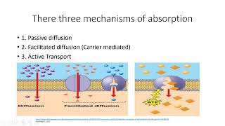 Carbohydrates Metabolism Digestion and Absorption  Lecture 10a [upl. by Naihr]