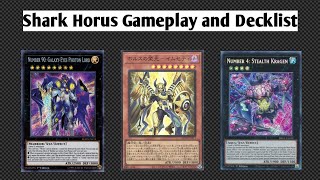 Shark Horus シャーク ホルス Gameplay and Decklist  YuGiOh  Edopro [upl. by Airtemad]