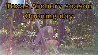 Whitetail Deer Season Texas 2021  Hunt 1  Crossbow hunting [upl. by Argella]