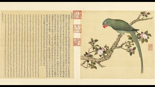 Birds of the Qing Dynasty 「清代の鳥譜」Volume 2 [upl. by Line]