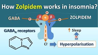 How Zolpidem works in Insomnia [upl. by Mandy657]