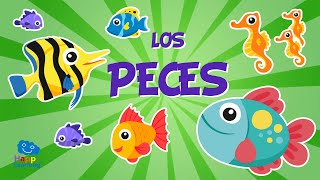 Los Peces 🐟🐠🐡  Vídeos Educativos para Niños [upl. by Ahsiekin]