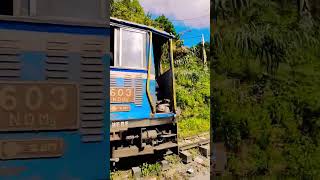 On 6500 fit altitude toytrain 02540 DARJEELING Trainjourney mere sampo ki rani [upl. by Parrish]