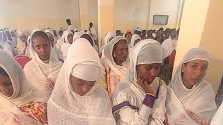 Hamere Hiwet ሃመረ ህይወት is live [upl. by Ahsienyt]