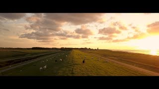 4k Drone video Friesland Bollingawier en Wierum  KRB Producties [upl. by Inilahs]