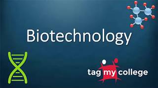 Btech or BSc in Biotechnology  Scope and Difference  Biotechnology  Tagmycollegecom [upl. by Kablesh]