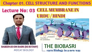 V 12  Cell membrane  structure amp composition  fluid mosaic model in Urdu  Hindi [upl. by Mulcahy345]