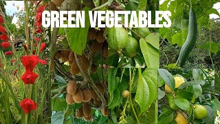 Gori Mukhadi Dile Main Nood piso sile ma vegitables pahadikheti youtubeshorts kumaunisongs [upl. by Loeb503]