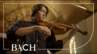 Bach  Violin Partita no 2 in D minor BWV 1004  Sato  Netherlands Bach Society [upl. by Marte]