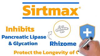 Sirtmax®  Rhizome of Black Turmeric Kaempferia Parviflora [upl. by Eiliak]