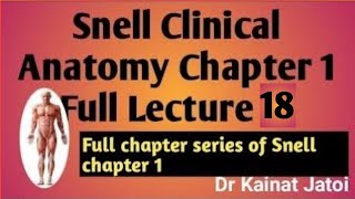 Snell Clinical Anatomy Chapter 1 Lecture 18 Dr Kainat Jatoi [upl. by Adigirb985]