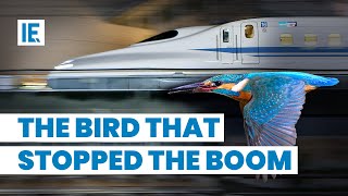 How Kingfisher Inspired Bullet Trains [upl. by Devaj]