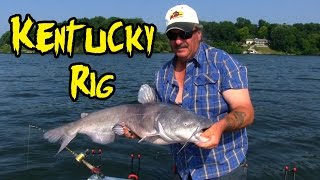 Catching Catfish using a Kentucky Rig [upl. by Arded]