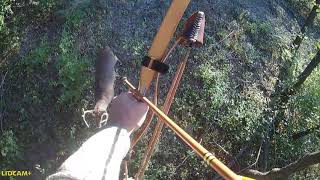 Beautiful 10 point buck amp a primitive bow [upl. by Nosemaj]