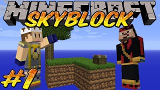 New beginnings  Skyblock Survival Ep1 [upl. by Killigrew703]