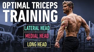 How To Build Huge Triceps with Optimal Training Technique [upl. by Annod88]