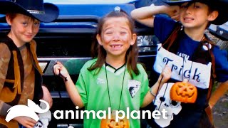 A Young Girl Is Infected With Rabies  Monsters Inside Me  Animal Planet [upl. by Trow]