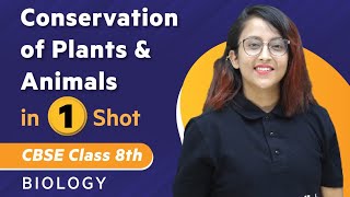 Conservation of Plants and Animals in One Shot  Biology  Class 8th  Umang  Physics Wallah [upl. by Ramal]