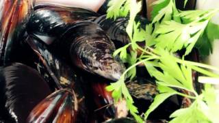 Mussels in Champagne Sauce  Plancha Recipes  Simogas [upl. by Mirna]