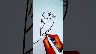 How to draw a tropical lorikeet bird howtodraw kidsdrawing shorts PalakEducationArts [upl. by Ernaldus865]