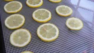 Dehydrated Lemons amp Oranges using my Excalibur food dehydrator wstephanie  efooddehydrator [upl. by Noiz]